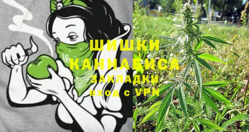 Шишки марихуана Ganja  KRAKEN как войти  Иланский  купить наркоту 